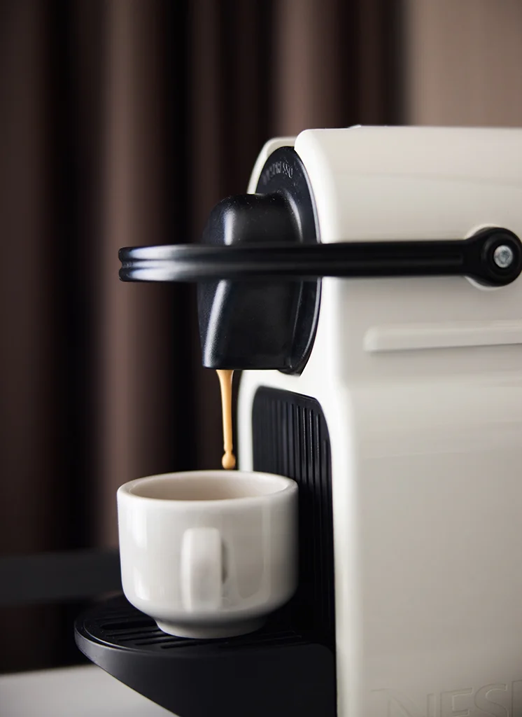 Astor_Hotel_Athens_Acropolis_Frame_Detail (2)